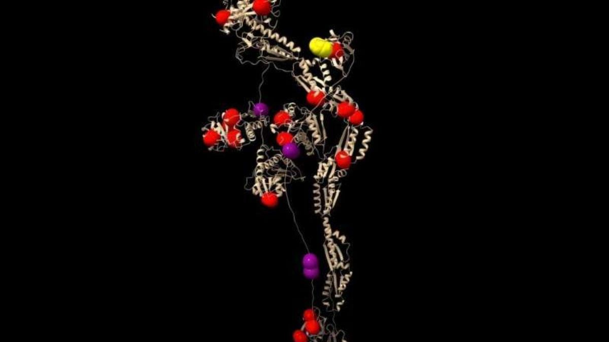 Desvelan un sistema de mensajería molecular que trabaja en paralelo al ADN