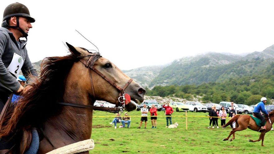Uno de los participantes en la carrera de caballos. | E. F.