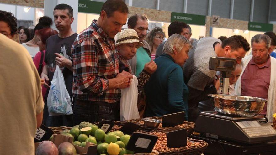 Feria de Ecocultura de la edición del pasado año