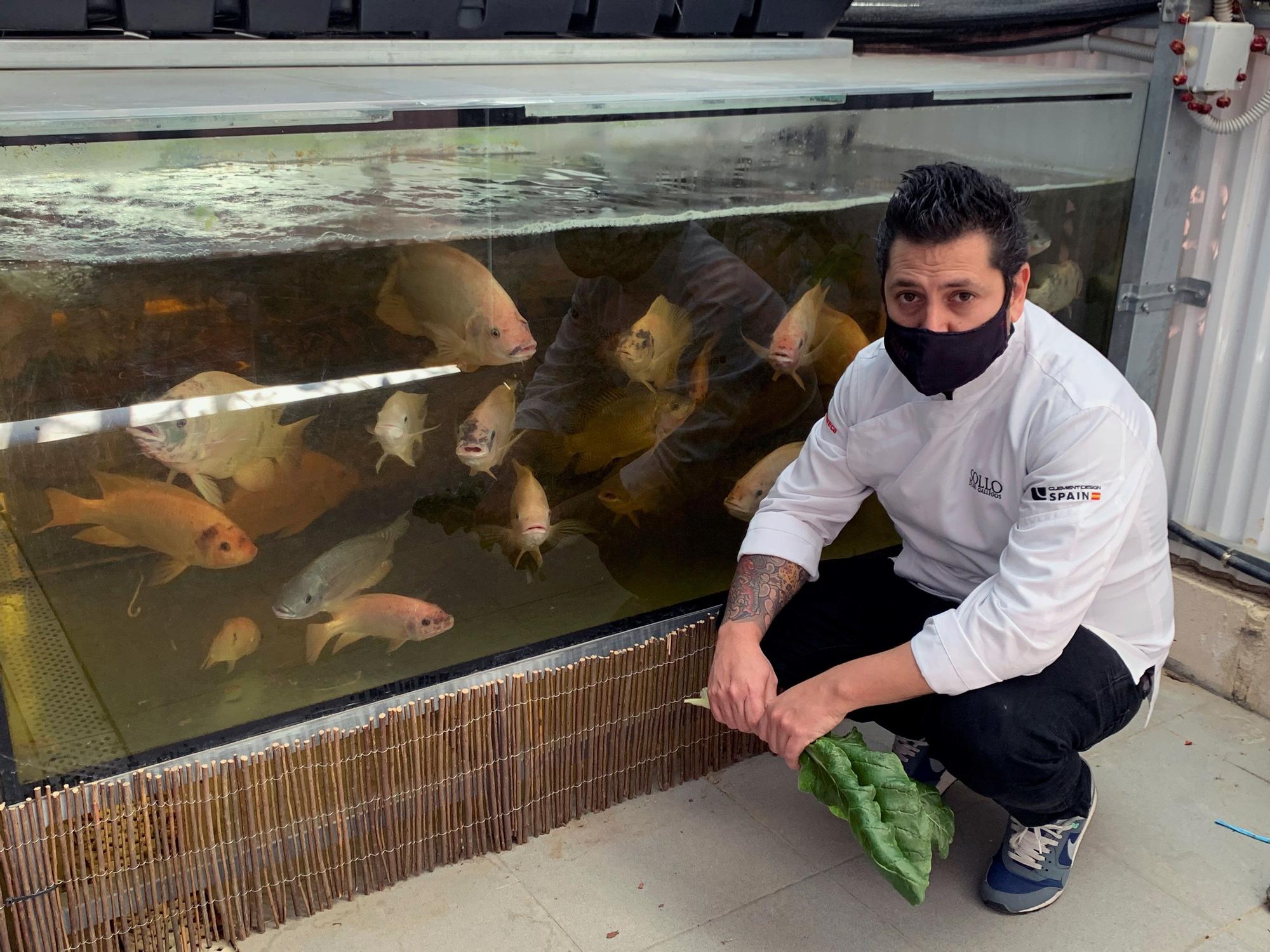 Diego Gallegos, chef del restaurante Sollo, apuesta por la gastroacuaponía