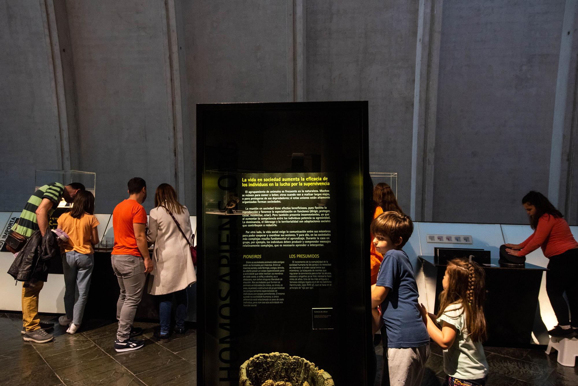 Día de los Museos en A Coruña