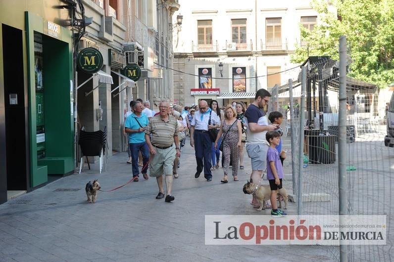 El día después de la caída de la rama del ficus de