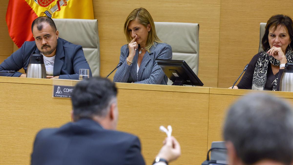 MADRID (ESPAÑA), 15/12/2025.- La exconsellera valenciana de Justicia e Interior Salomé Pradas (c) comparece este lunes en la comisión de investigación de la crisis derivada de la dana del 29 de octubre de 2024 en el Congreso en Madrid. EFE/ Javier Lizón