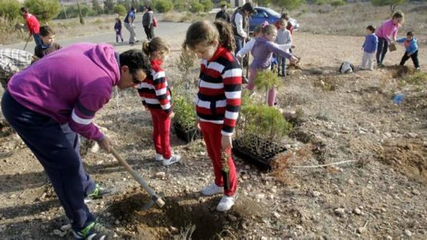 La Vaguada se hace más verde con la plantación de cientos de árboles