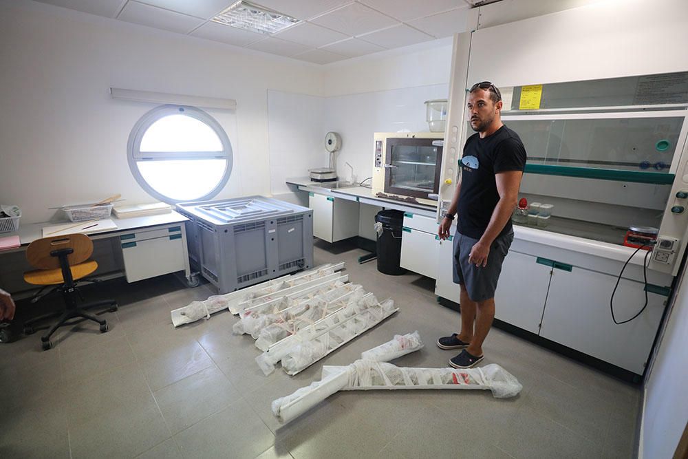Once espadas bajo los rayos X de la historia en Formentera