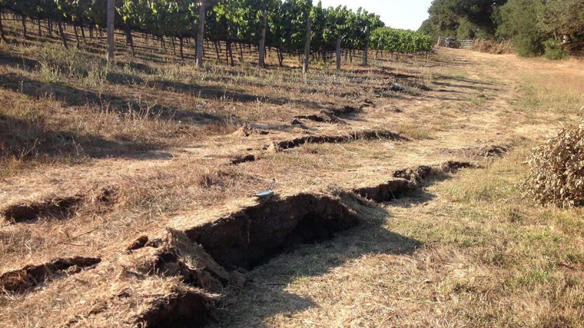 El terremoto de magnitud 6 en el sur de Napa, en California, en agosto de 2014, provocó la ruptura del suelo en algunos lugares. El terremoto de magnitud 6 en el sur de Napa, en California, en agosto de 2014, provocó la ruptura del suelo en algunos lugares.