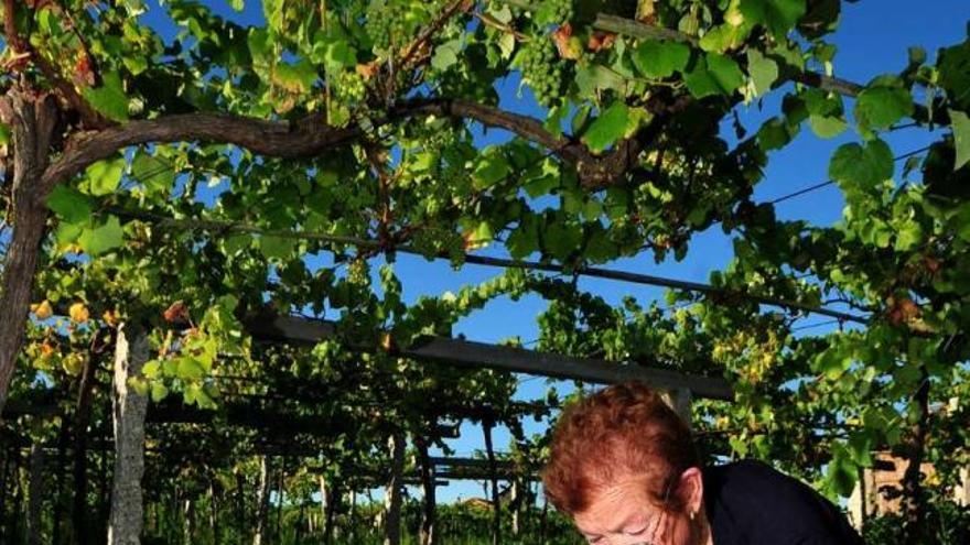 Carmen Bouzada junto al mojón que hay en su huerta, que separa Dena, Vilalonga y Nantes.  // Iñaki Abella