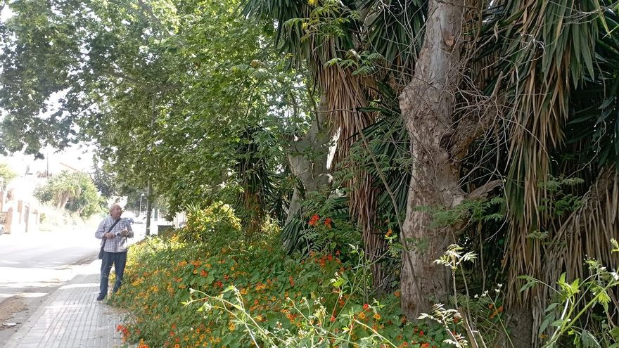 Monte Dorado: un barrio en el limbo de tres distritos