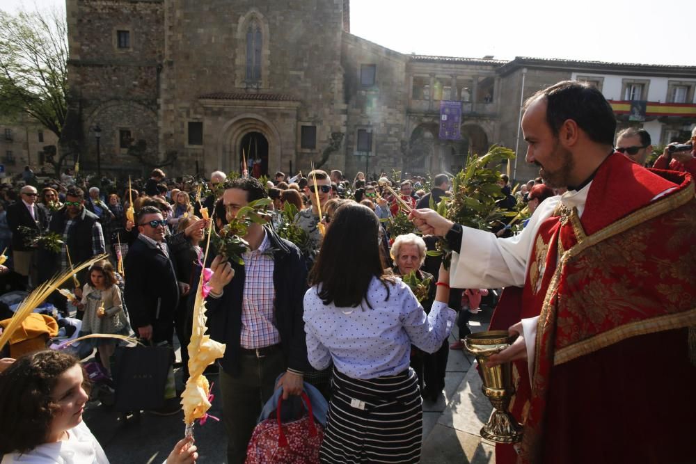 Domingo de Ramos en Avilés