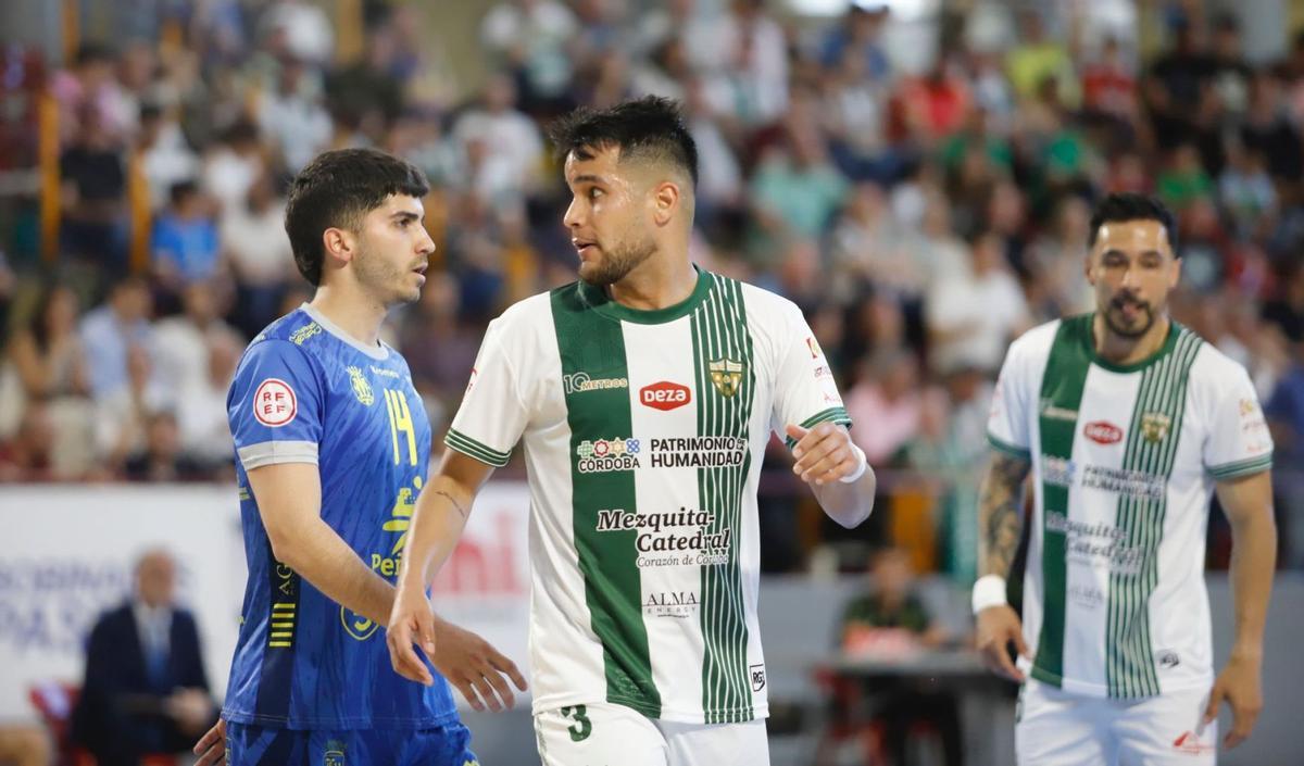 Damián Mareco, durante un encuentro.
