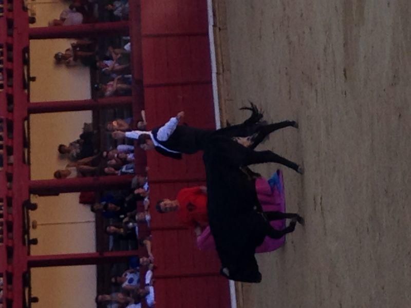 Fiestas en Toro | Becerrada de las peñas