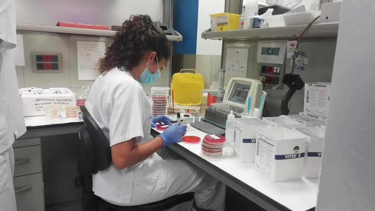 Laboratorio de Microbiología del Hospital Can Misses, en Ibiza.