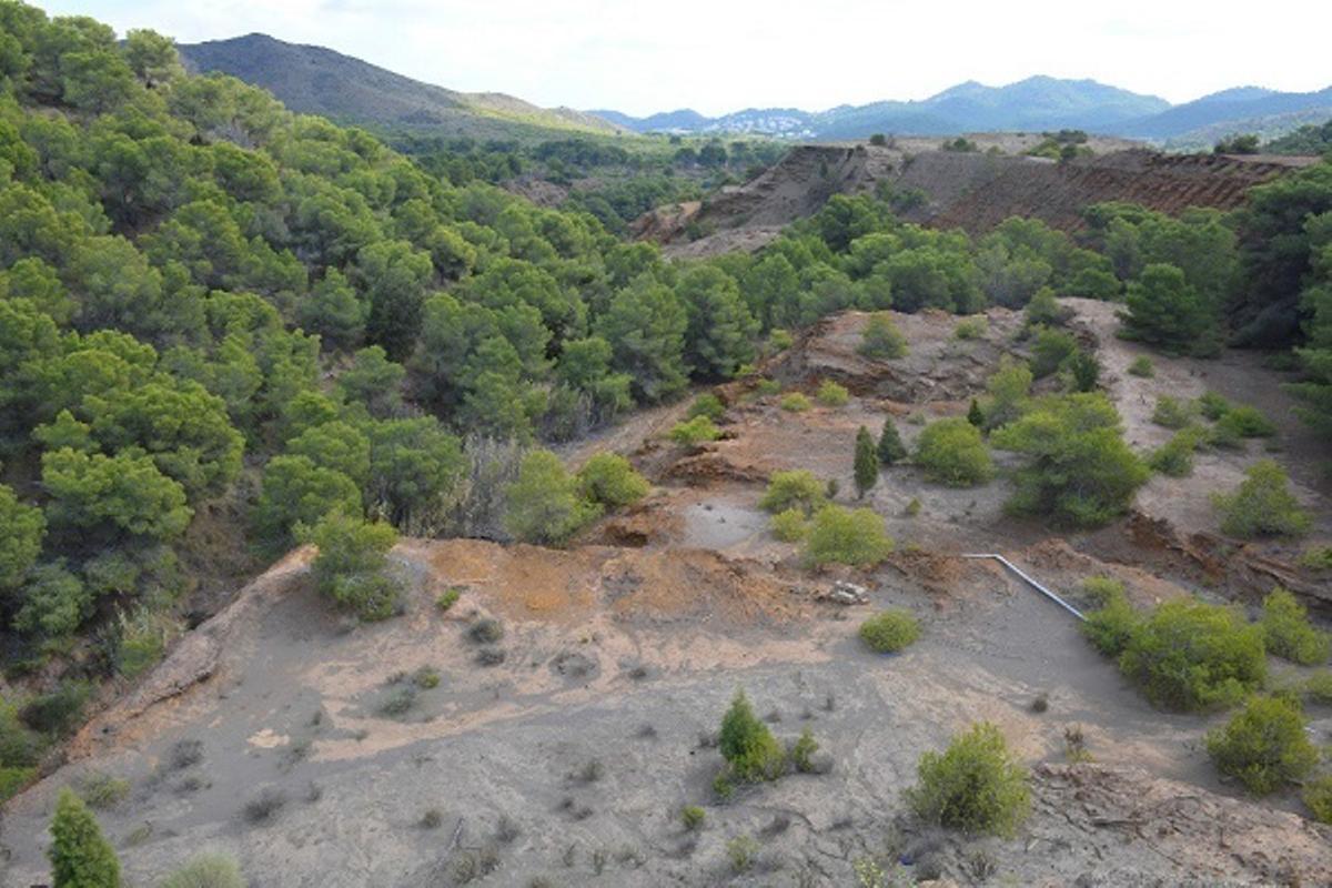 Imagen de la zona de actuación en la Rambla de la Carrasquilla