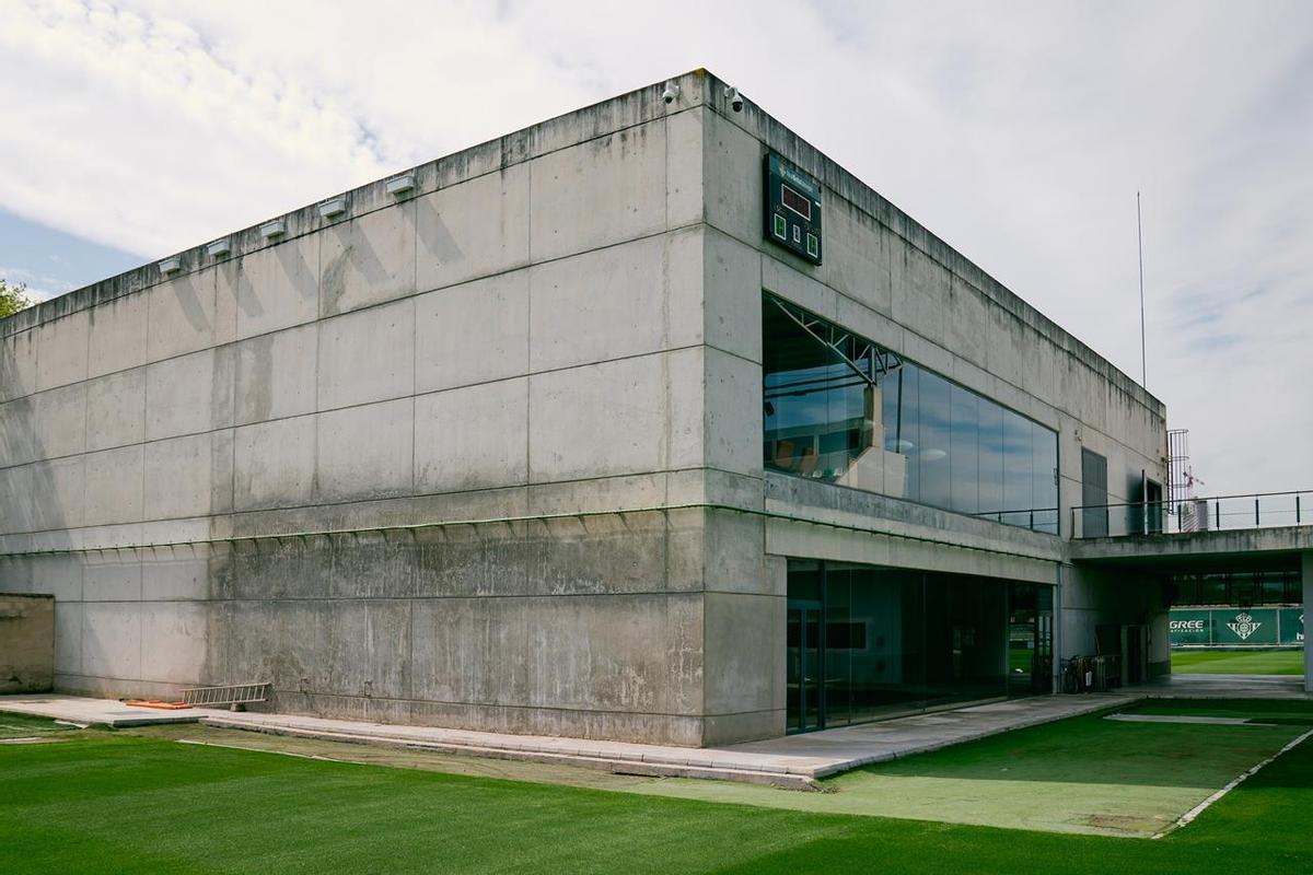 Caja nido ubicada en la Ciudad Deportiva Luis del Sol
