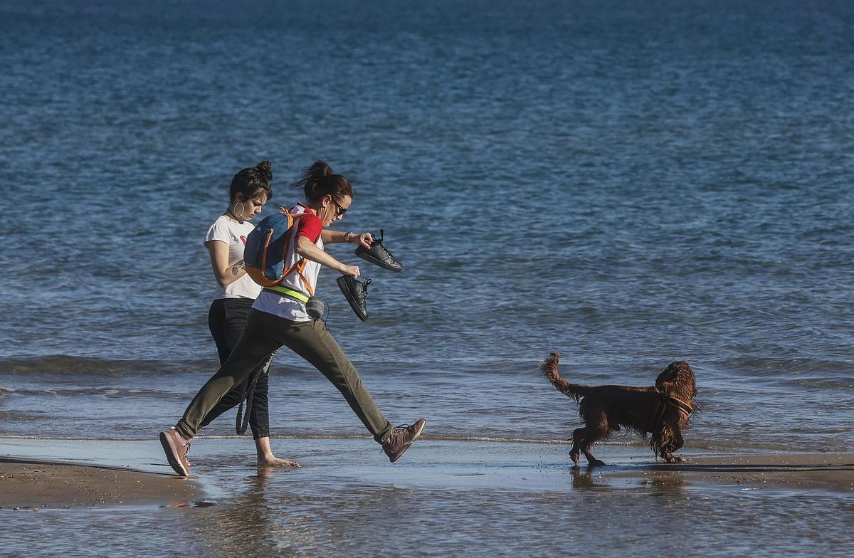 Dos chicas pasean su perro por la orilla de la playa.