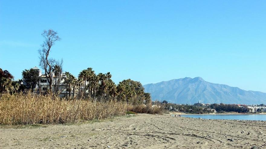 Estepona adjudica el tramo de la senda litoral entre Laguna Village y Dominion Beach