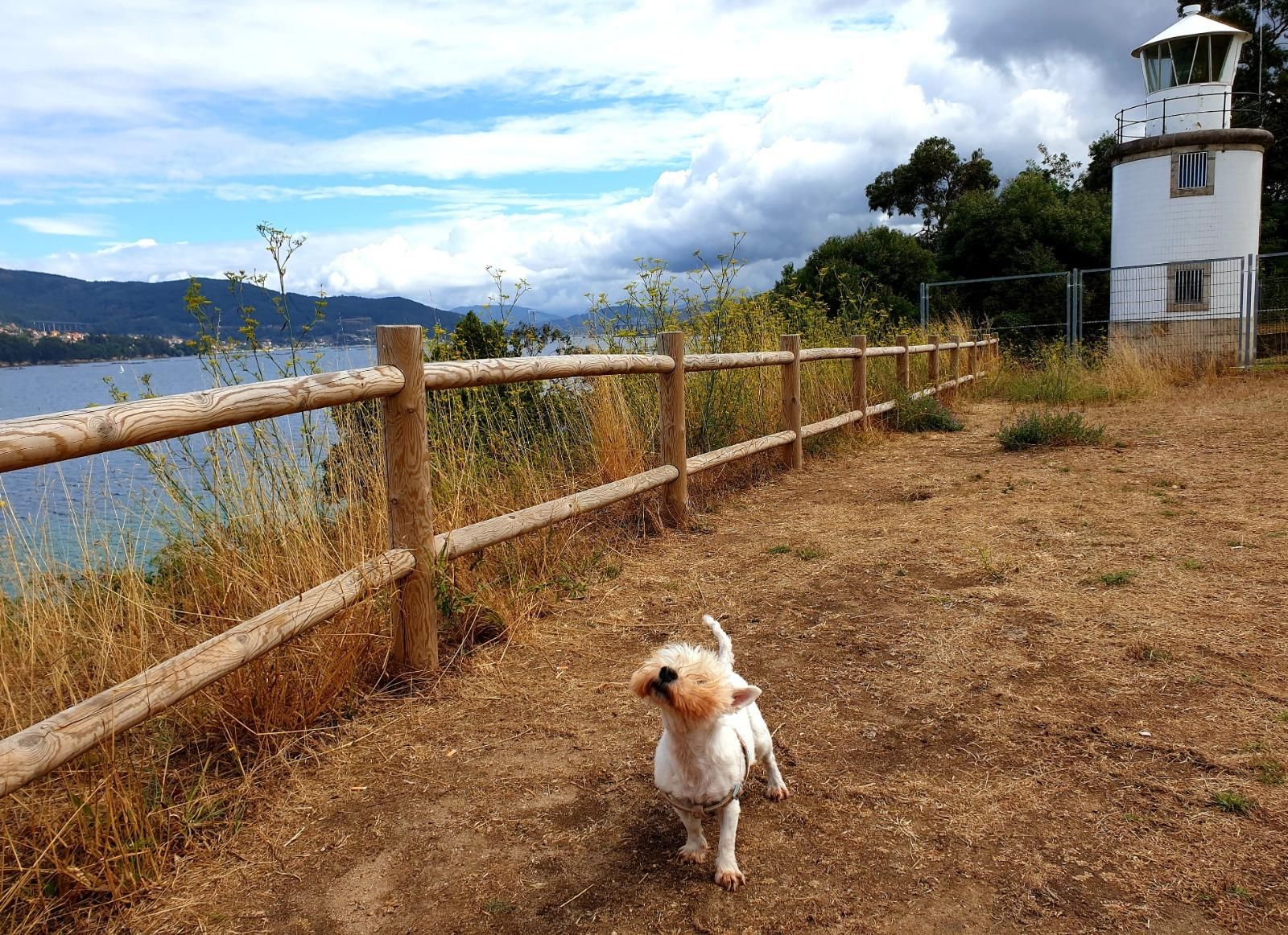 Un Vigo para caminar y perderse: 11 rutas imprescindibles de todos los niveles
