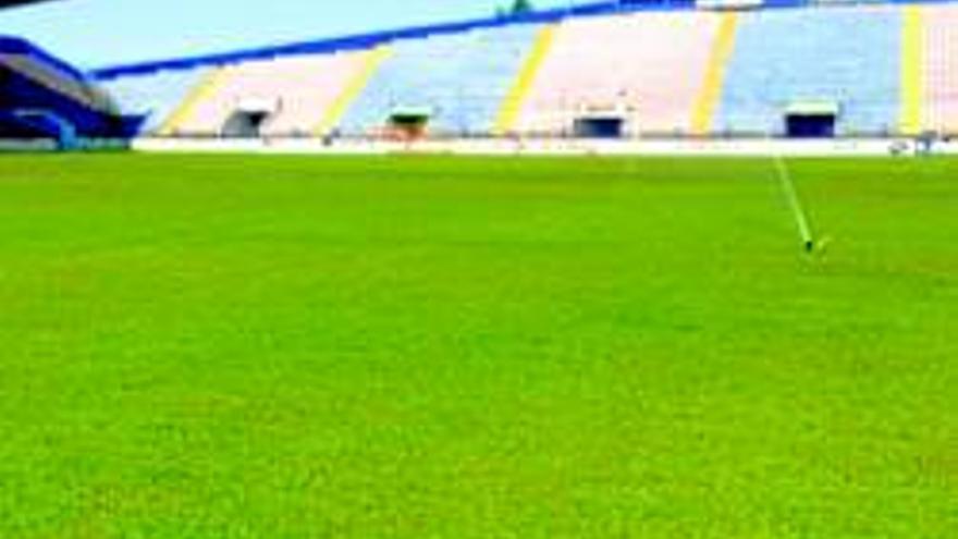 El césped del estadio municipal estará listo en los plazos previstos