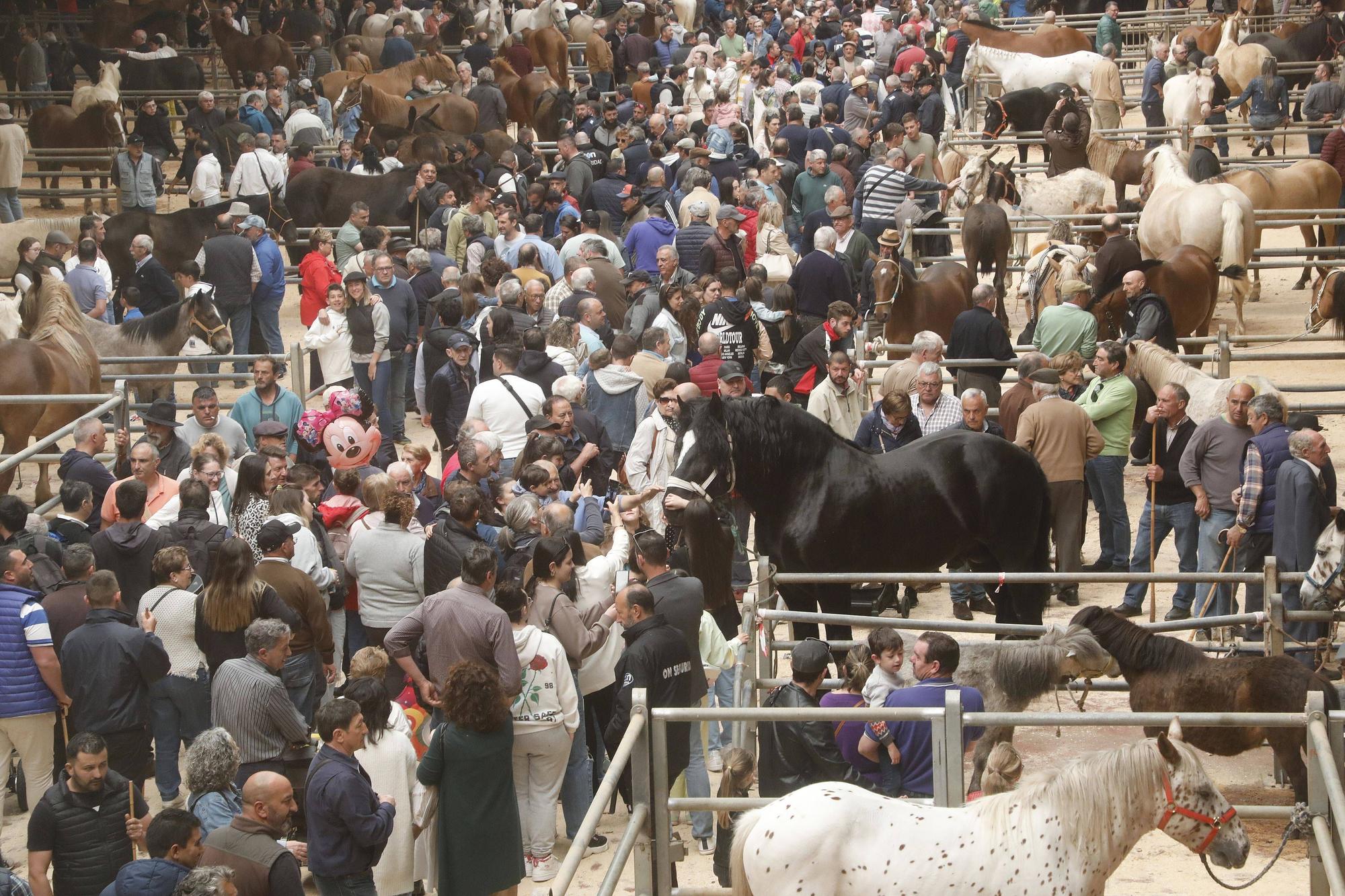 Las imágenes de La Feira Cabalar