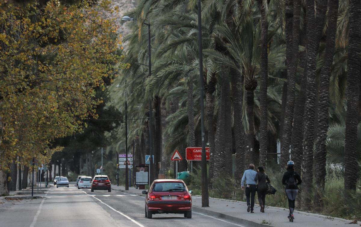 Aspecto de la avenida Doctor García Rogel que atraviesa el palmeral y se pretende convertir en un ecobulevar. | TONY SEVILLA