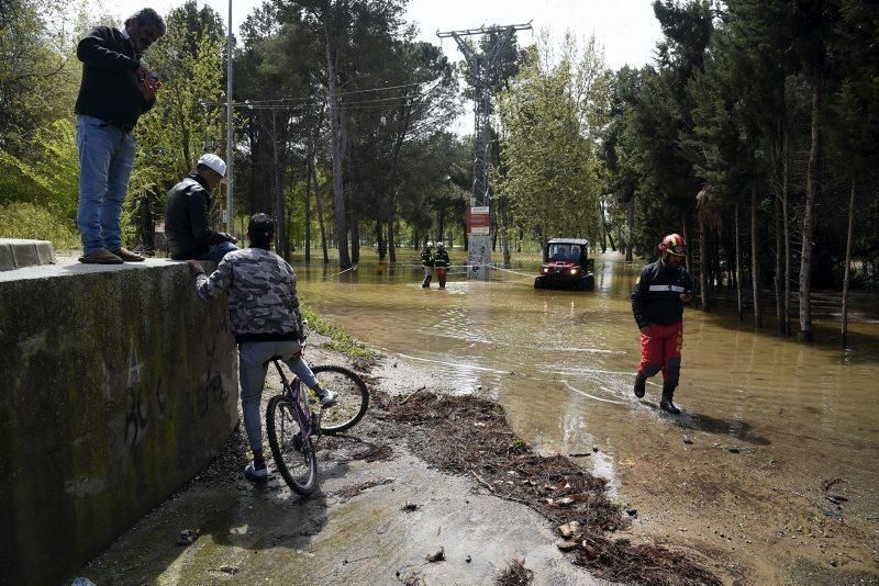 Impresionantes imágenes de la crecida del rio en Gelsa, Pinta y Quinto de Ebro