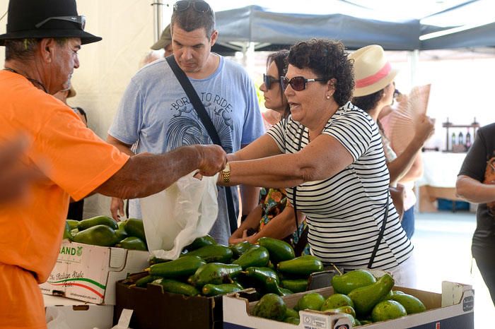 II FERIA MANGO Y AGUACATE