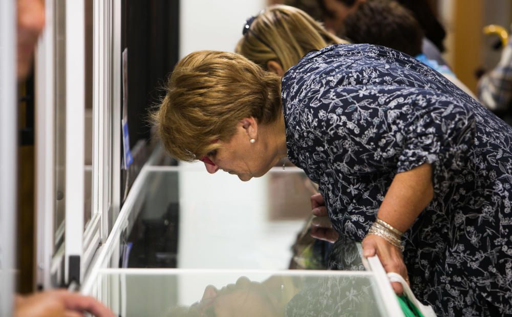 Miles de personas en el domingo de Santa Faz