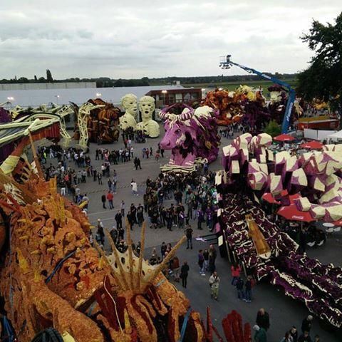 Batalla de Flores holandesa