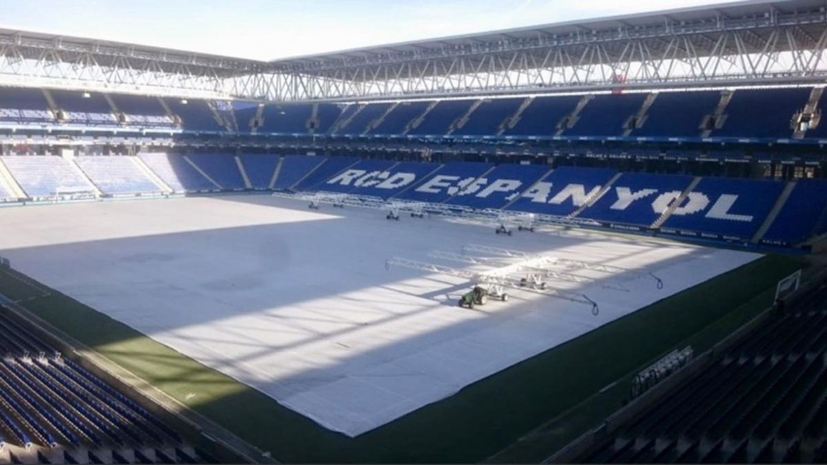 El césped del RCDE Stadium, preparándose para recibir el invierno