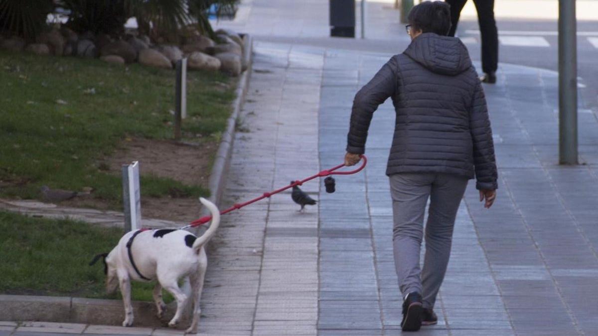 Una mujer pasea a su perro en Tarragona.