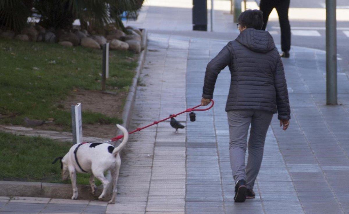 zentauroepp36210612 tarragona  tarragones   8 11 2016  problematica con las hece181116103500