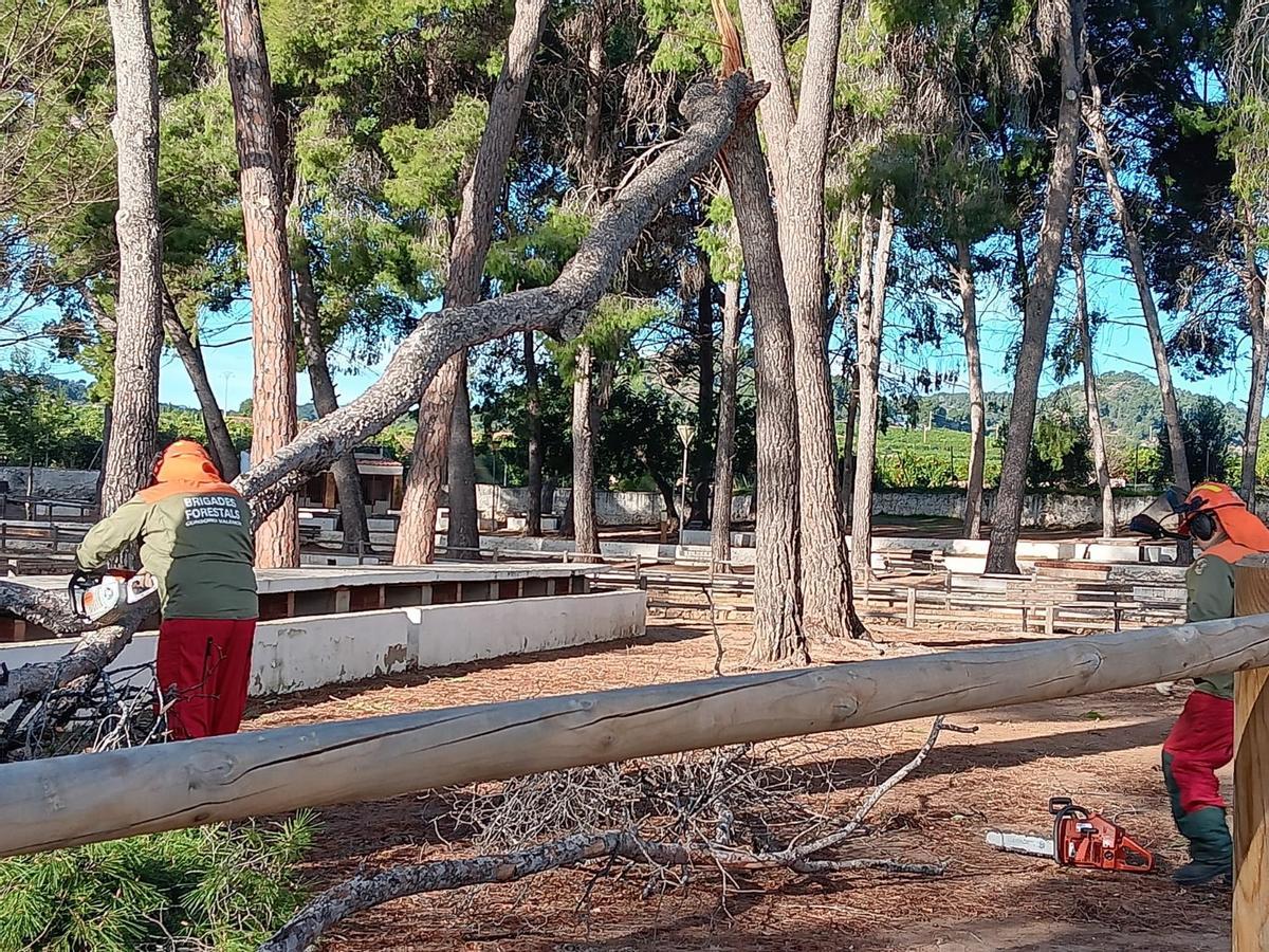 Efectos de las fuertes rachas de viento en El Camp de Morvedre