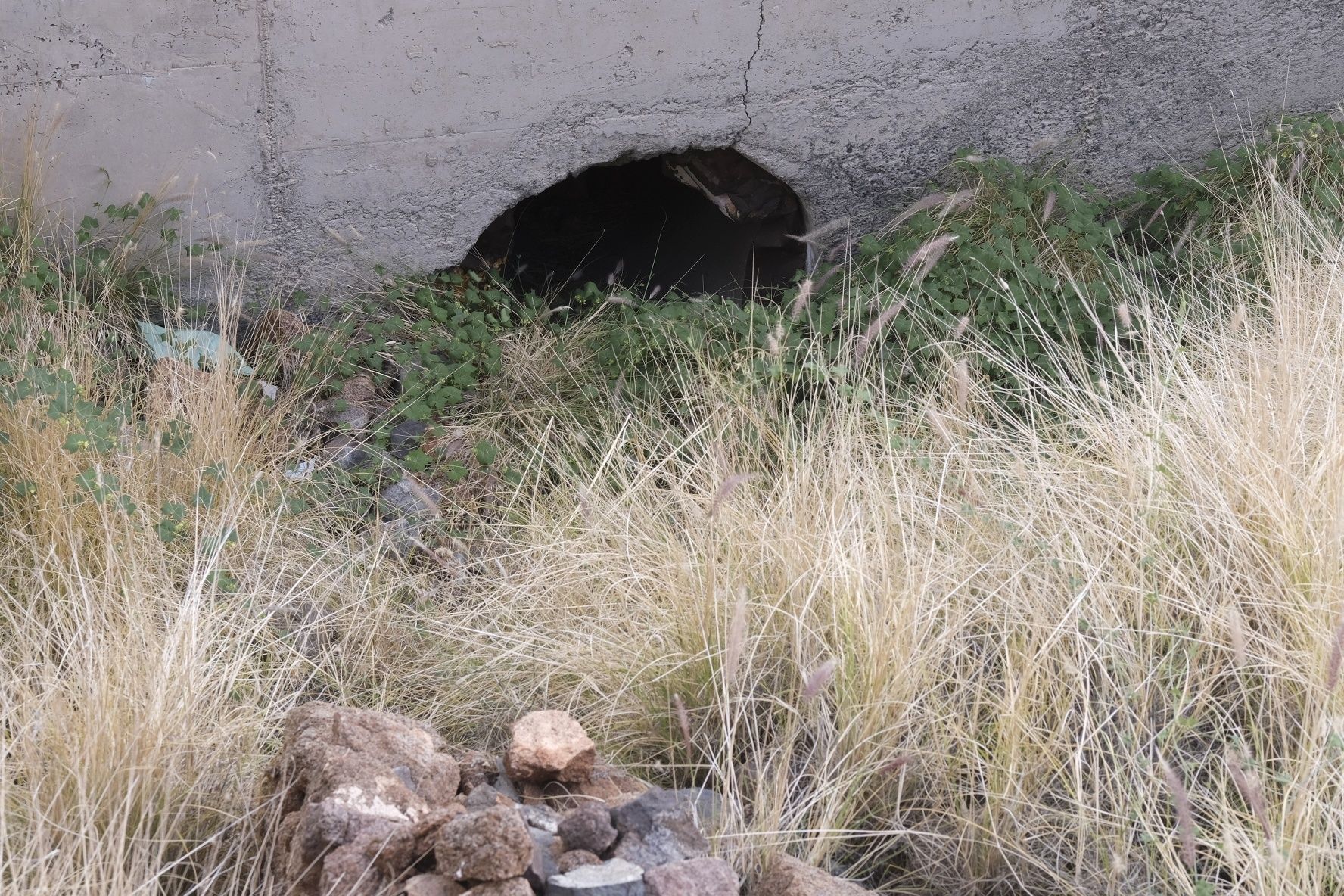 Estado de Valleseco, María Jiménez y El Rebolado en Santa Cruz de Tenerife