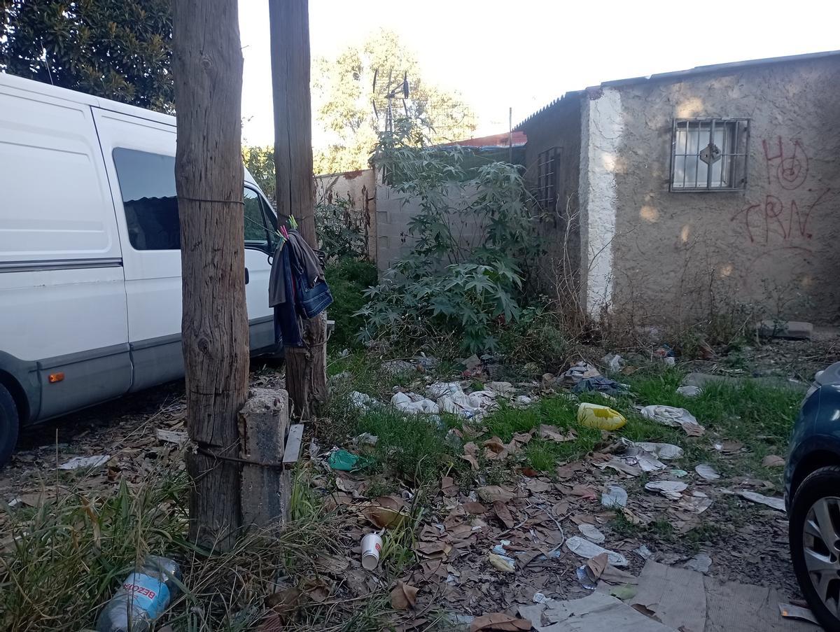 Suciedad junto a las casas del Bulto, a pocos metros del ficus.