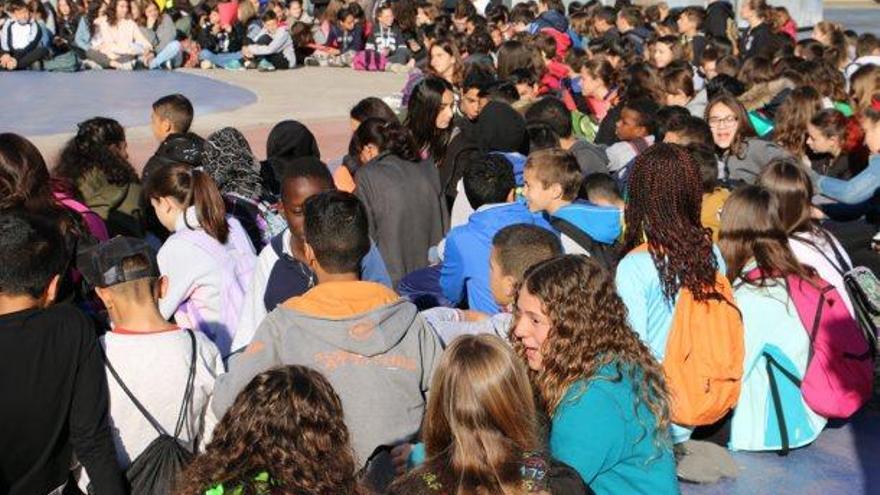 Exhibició de cervells en la  12a Gimcana de matemàtiques