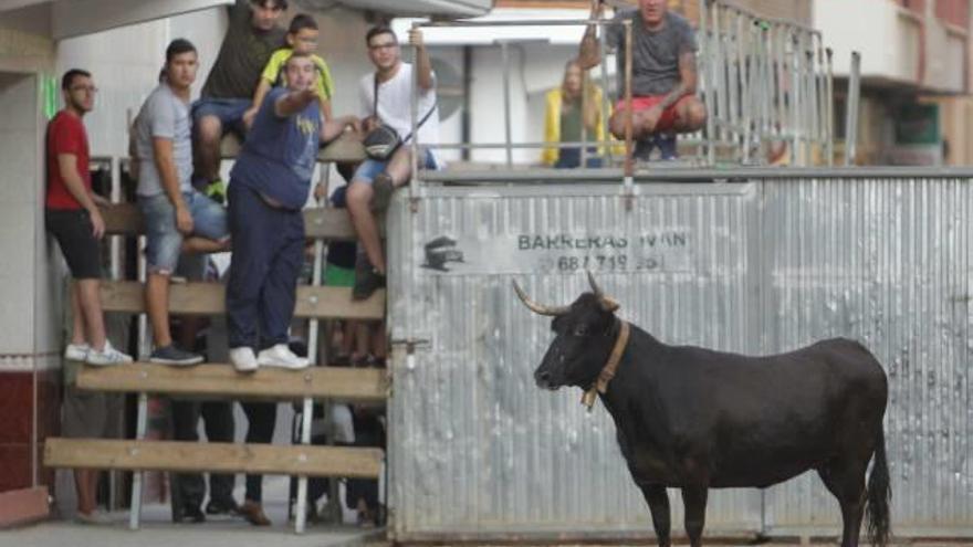 El barrio Biensa acogió un taller de embolador y otro de recortador