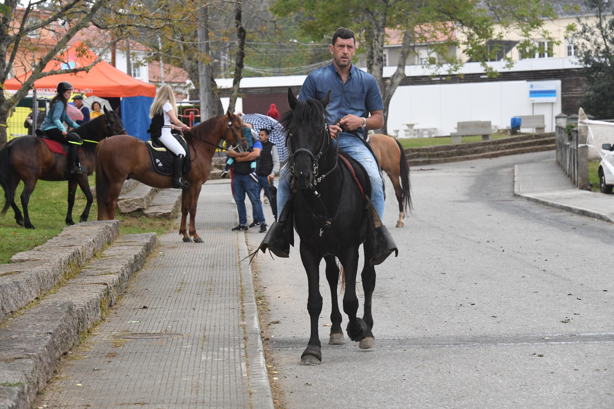 Feira das flores de Vilarmaoir