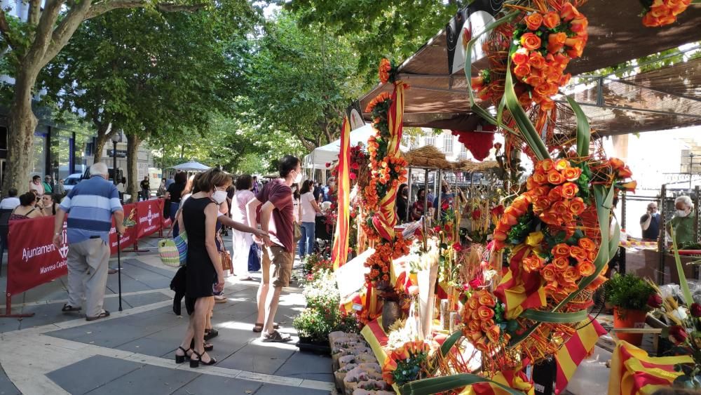 Dia del Llibre i de la Rosa a Manresa