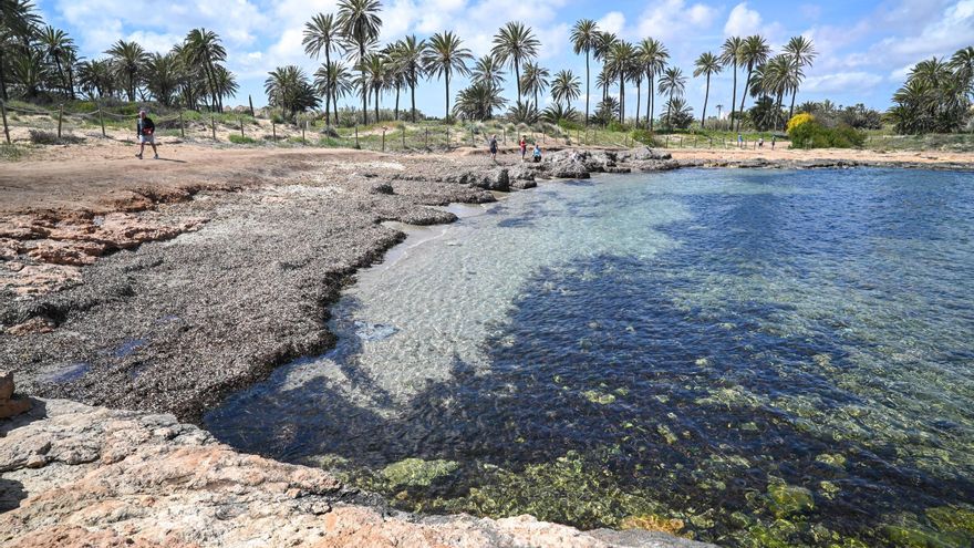 El cambio de Ferrís: la cala de la postal turística de Torrevieja se queda sin arena