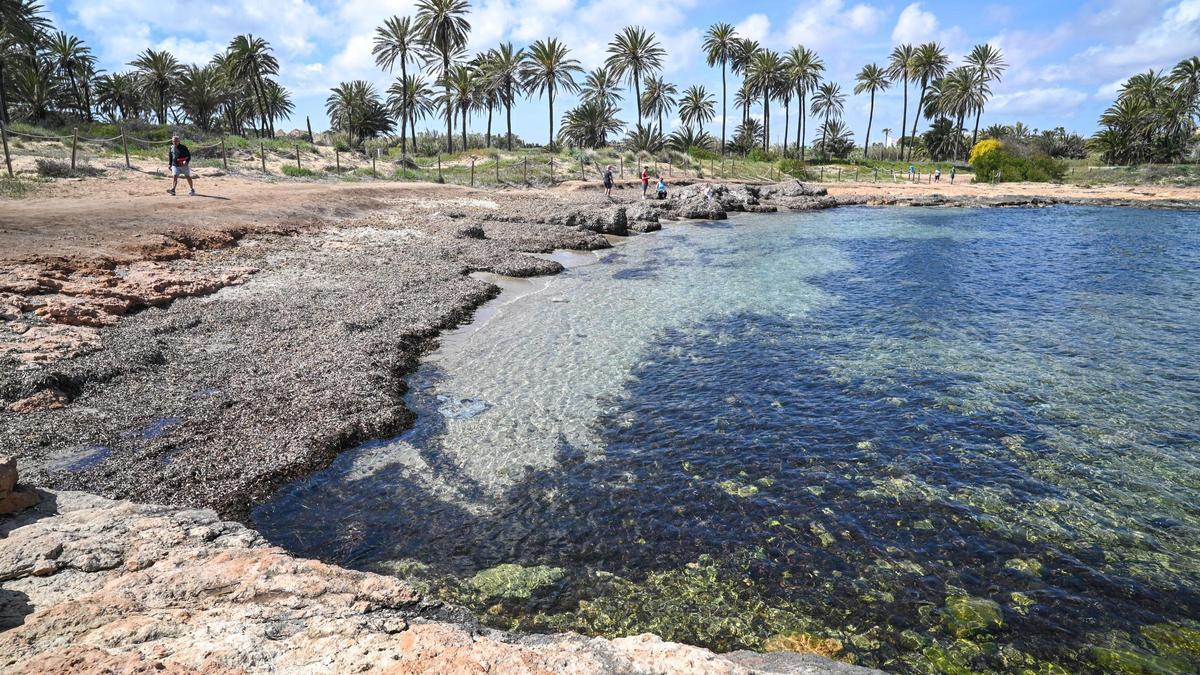 La regresión de la cala de Ferrís en Torrevieja