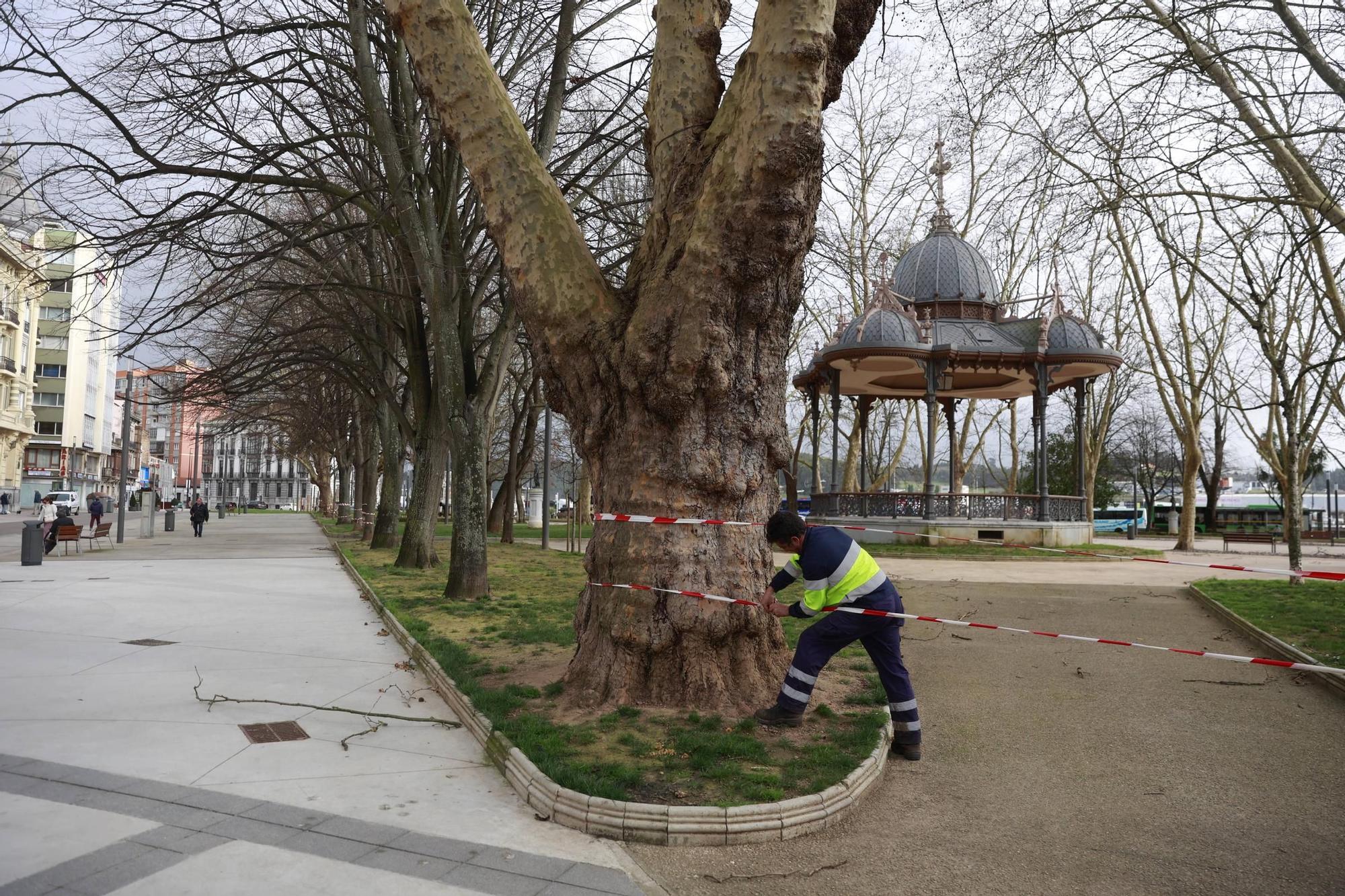 EN IMÁGENES: Los efectos del temporal en la comarca de Avilés