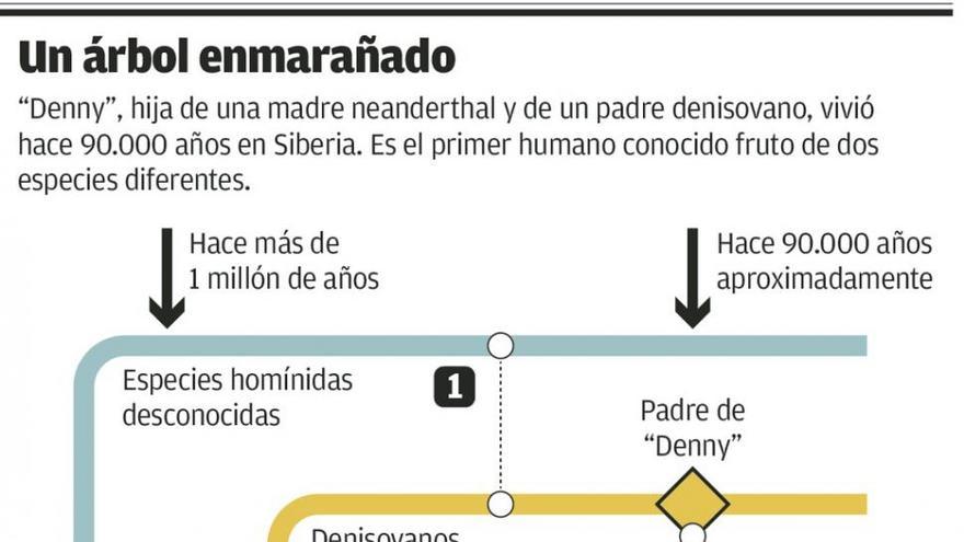 La genética neandertal en el hombre actual, clave contra ciertas enfermedades