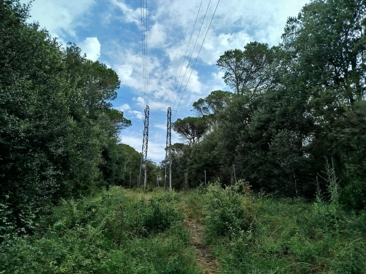 La línia d'alta tensió que passa per la zona.