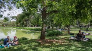 El parc de la Ciutadella, amb els seus espais verds i dombra, és un refugi climàtic.