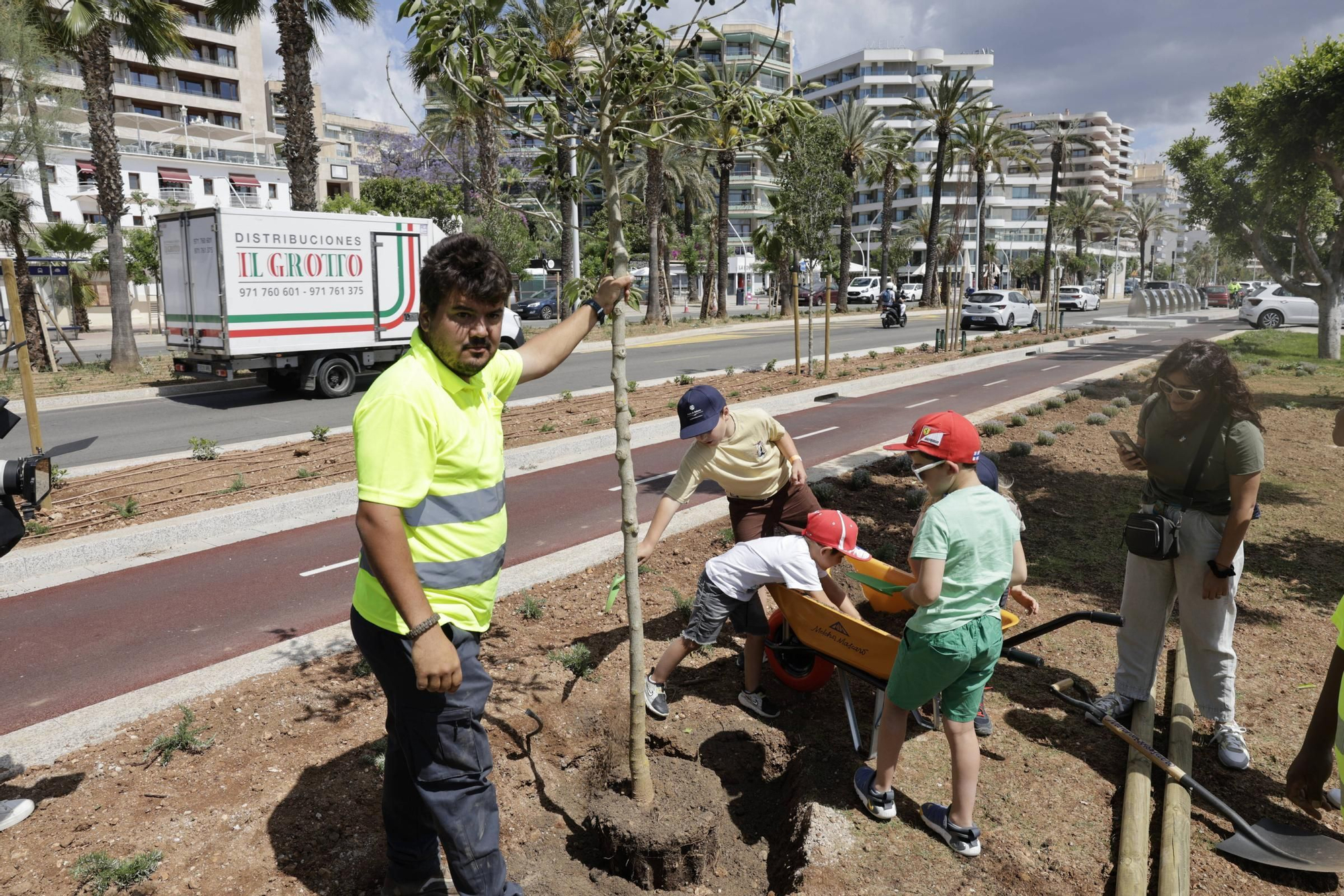 Verde para el nuevo Paseo Marítimo de Palma: pala y rastrillo para que los vecinos planten árboles