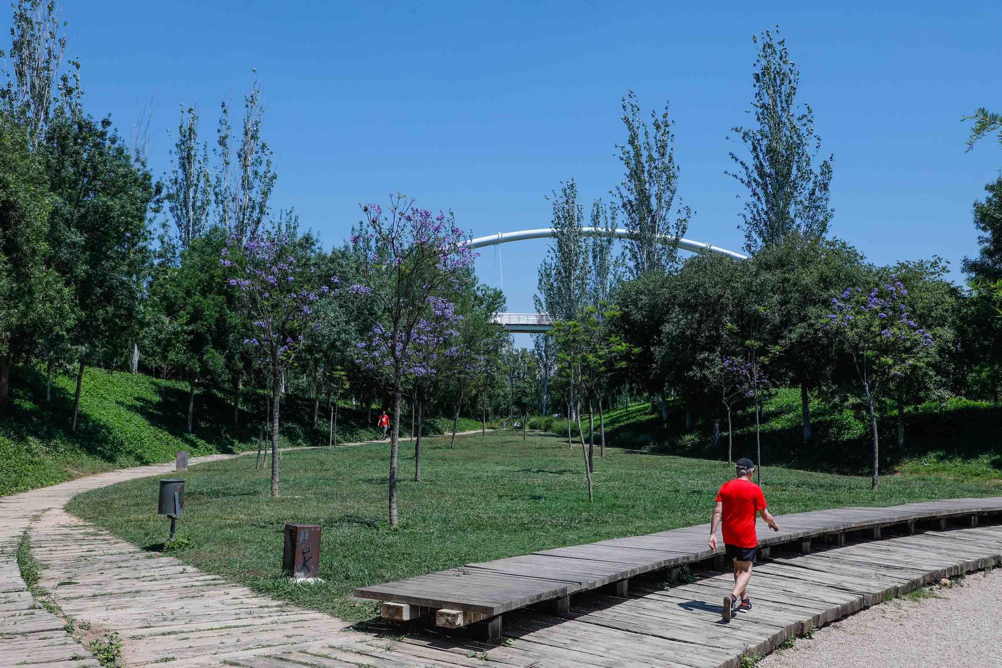 Parque de Cabecera, uno de los pulmones de València