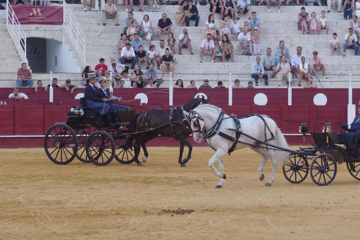 Fotos del concurso de exhibición de Enganches de Caballos Ciudad de Málaga 2026
