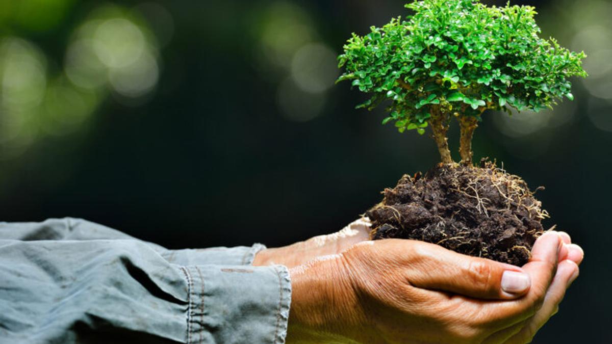 Los españoles son los europeos que más cambiarán su rutina para salvar el clima