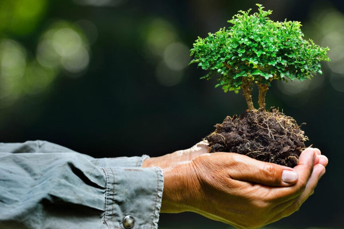 Los españoles son los europeos que más cambiarán su rutina para salvar el clima