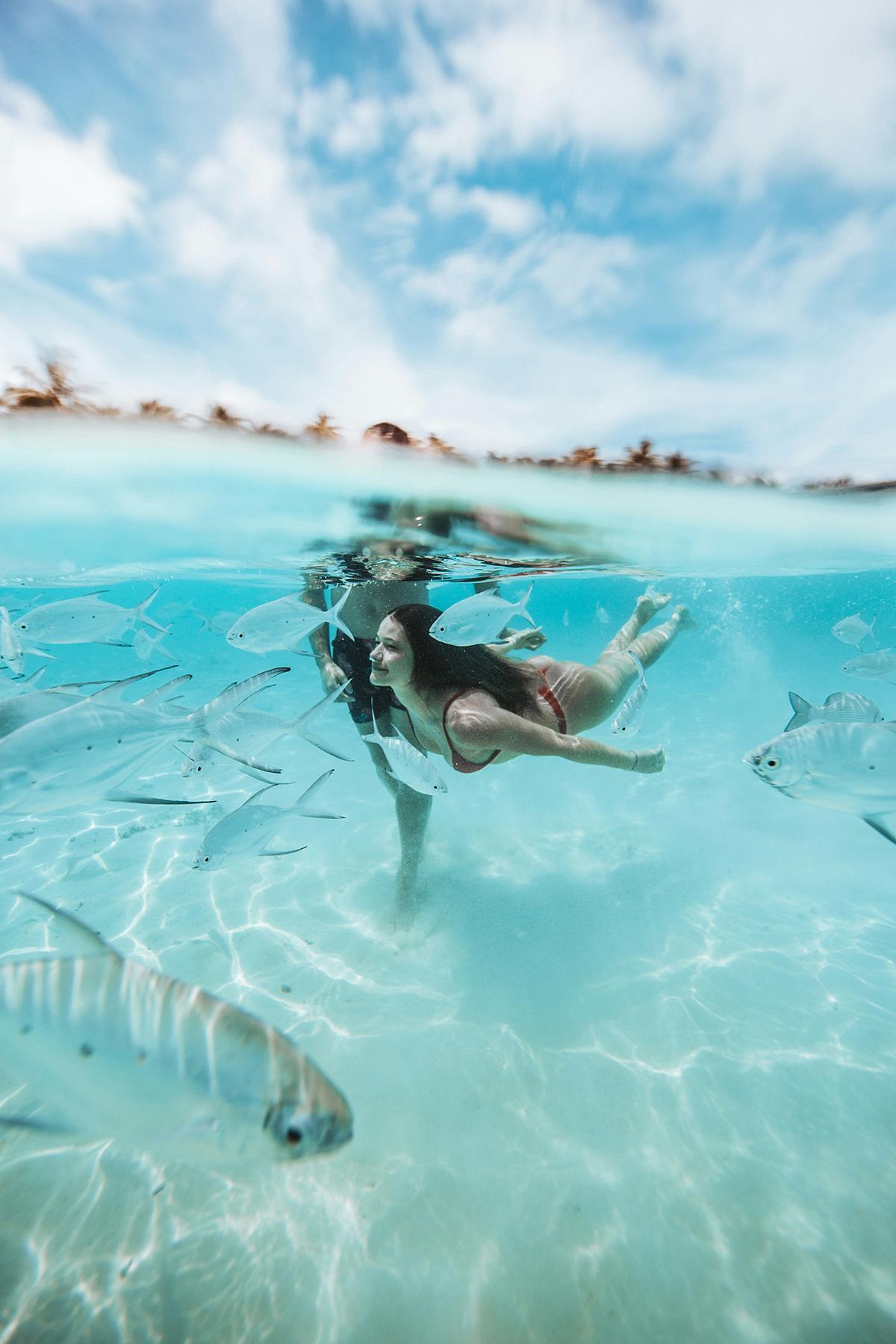Snorkel en una laguna poco profunda de Maldivas, una de las experiencias más accesibles para descubrir peces tropicales sin necesidad de bucear.